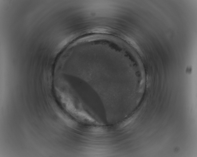 X0000092010349200709271534