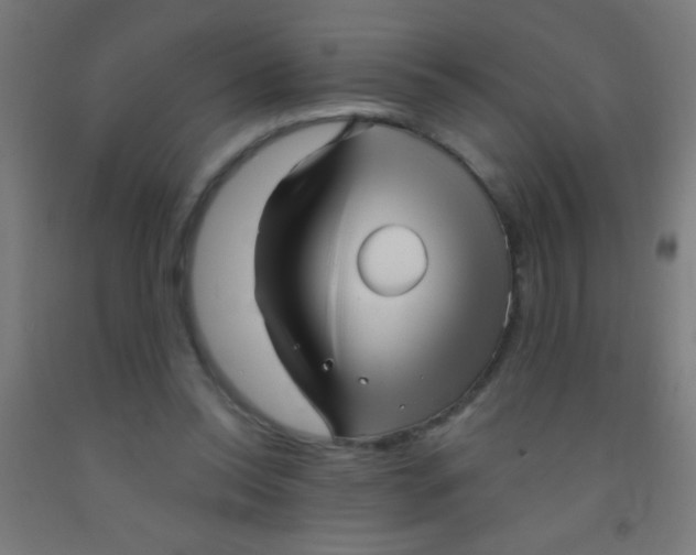 X0000092010350200709271534