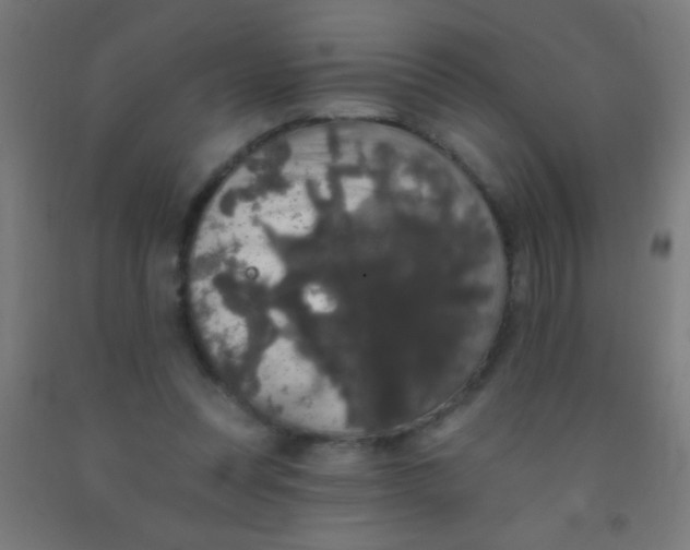 X0000092010351200709271534