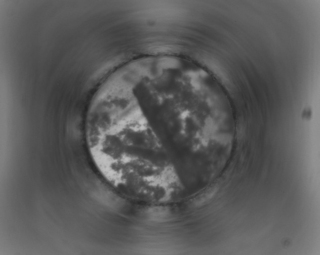 X0000092010353200709271534