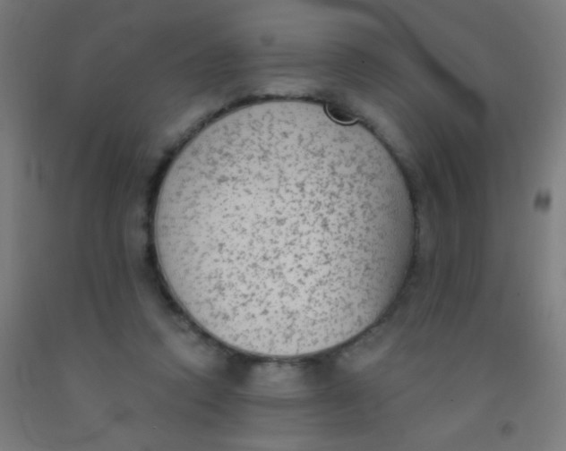 X0000092010354200709271534