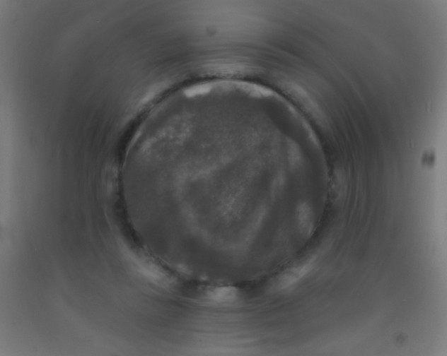 X0000092010355200709271534