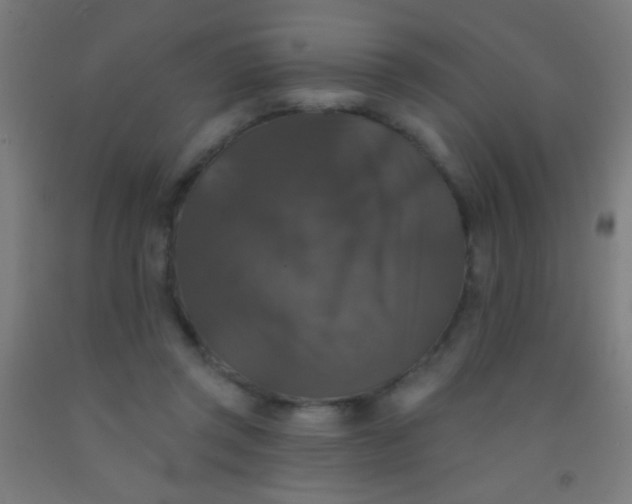 X0000092010357200709271534