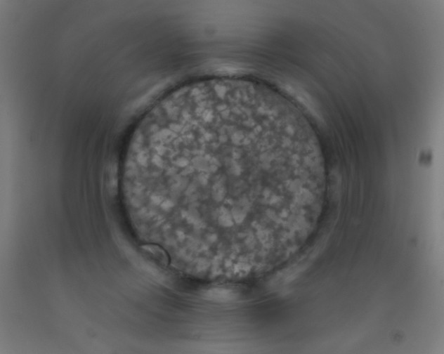 X0000092010358200709271534