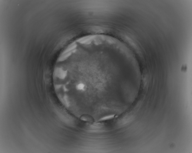 X0000092010359200709271534