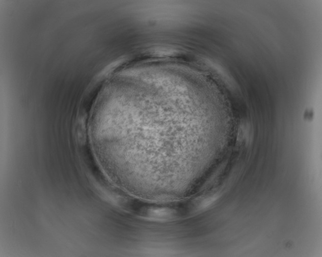 X0000092010360200709271534