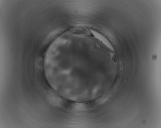 X0000092010361200709271534