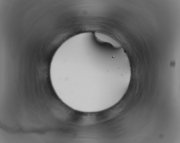 X0000092010362200709271534