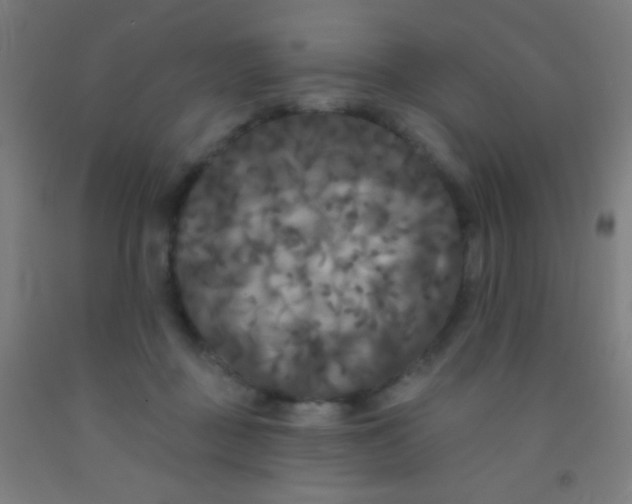 X0000092010363200709271534