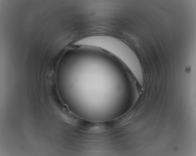 X0000092010364200709271534