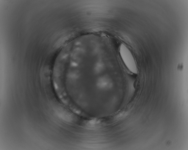 X0000092010366200709271534