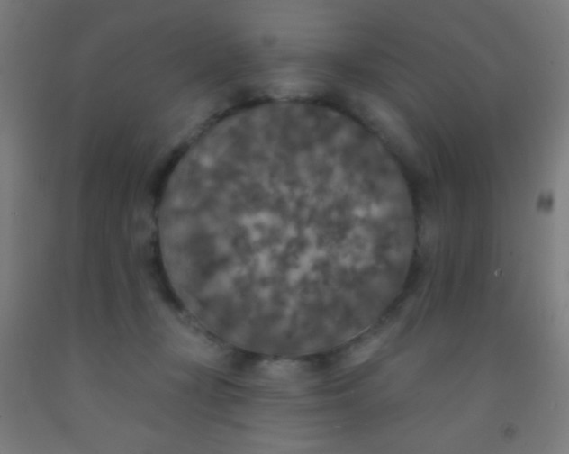 X0000092010367200709271534