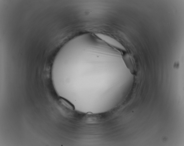 X0000092010368200709271534