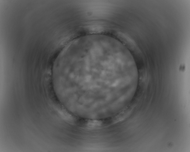 X0000092010369200709271534