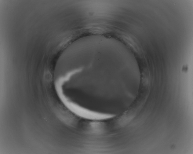 X0000092010371200709271534