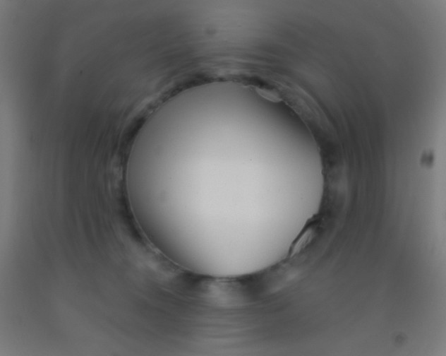 X0000092010372200709271534