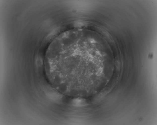 X0000092010375200709271534