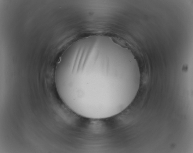 X0000092010376200709271534