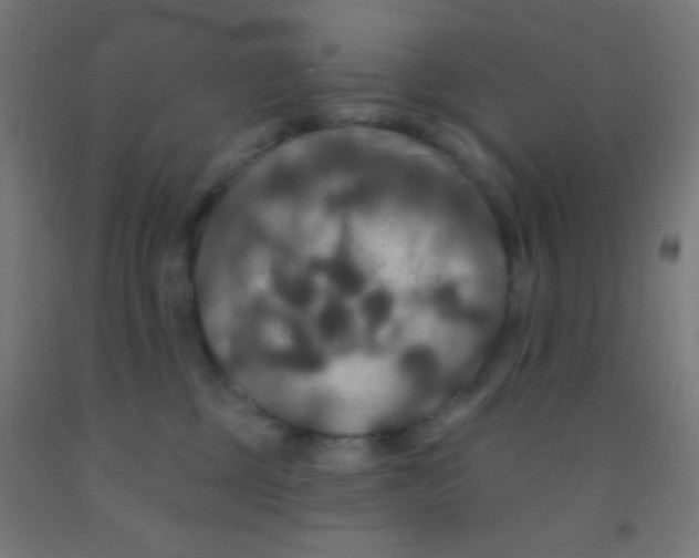 X0000092010377200709271534