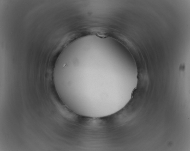 X0000092010379200709271534