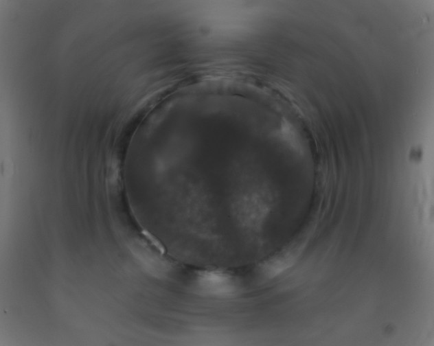 X0000092010380200709271534