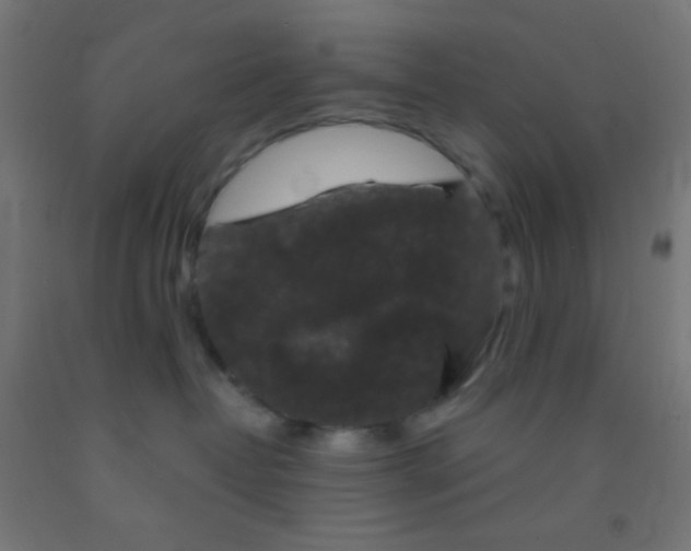 X0000092010382200709271534