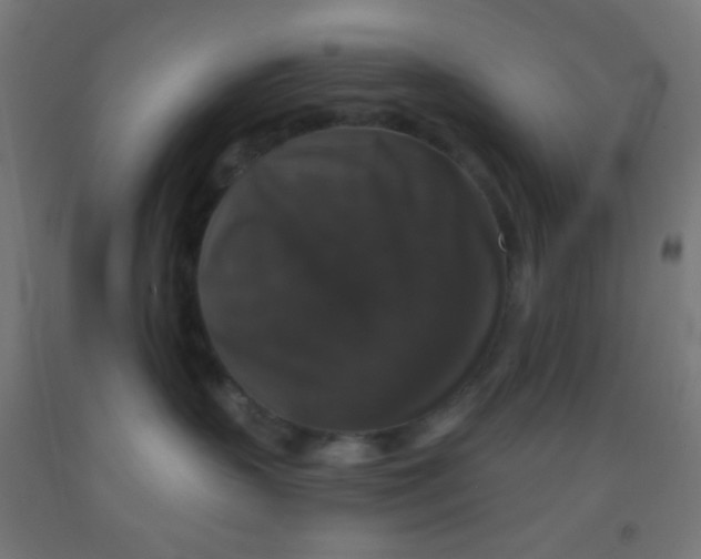 X0000092010383200709271534