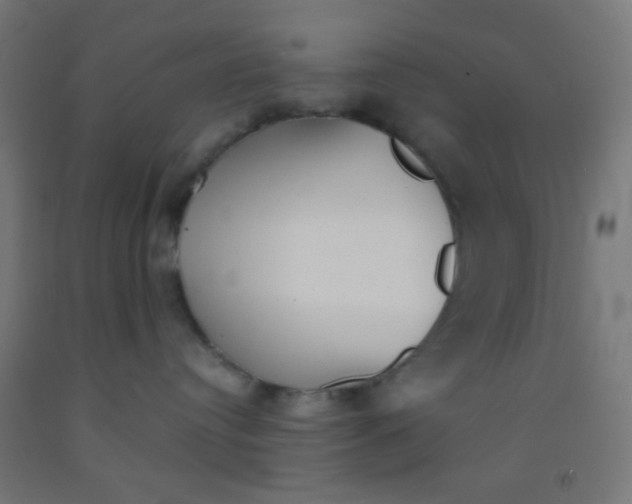 X0000092010384200709271534