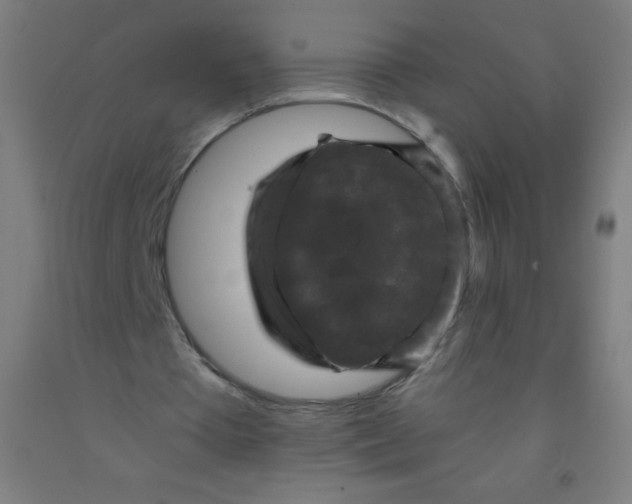 X0000092010385200709271533