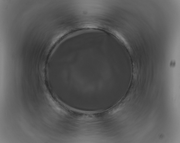 X0000092010386200709271533