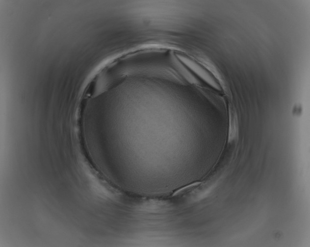 X0000092010387200709271533