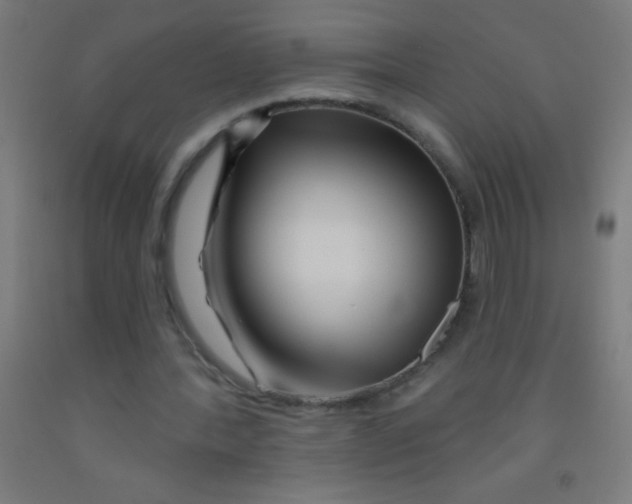 X0000092010388200709271533