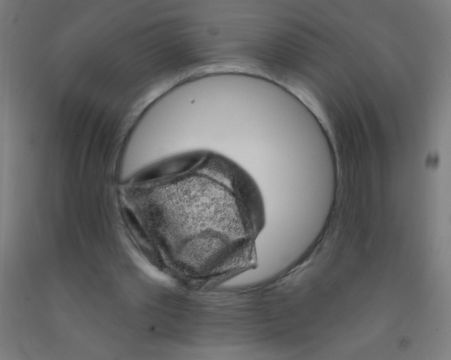 X0000092010389200709271533