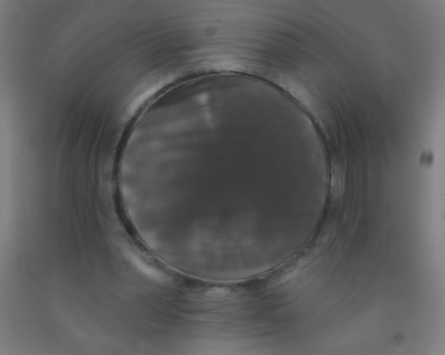 X0000092010390200709271533