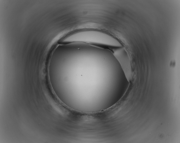 X0000092010392200709271533