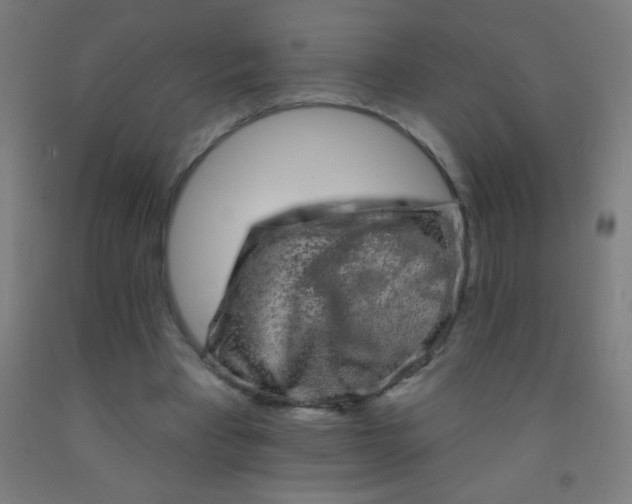 X0000092010393200709271533