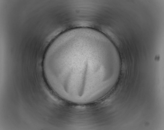 X0000092010394200709271533