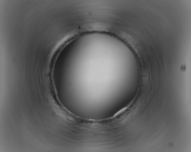 X0000092010395200709271533