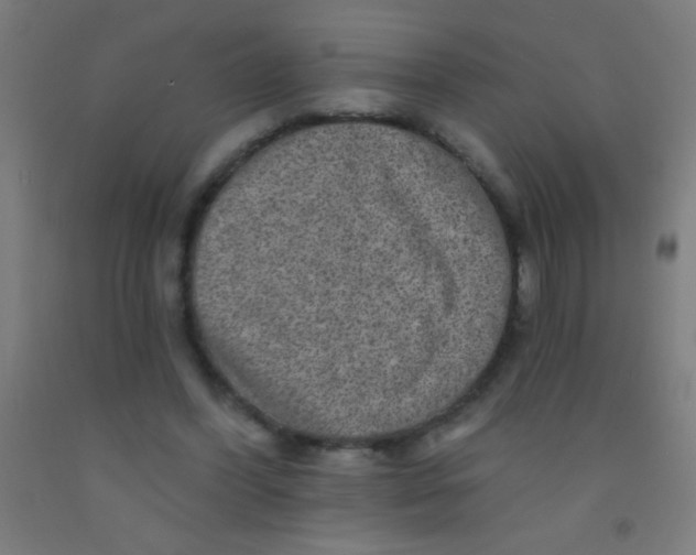 X0000092010396200709271533