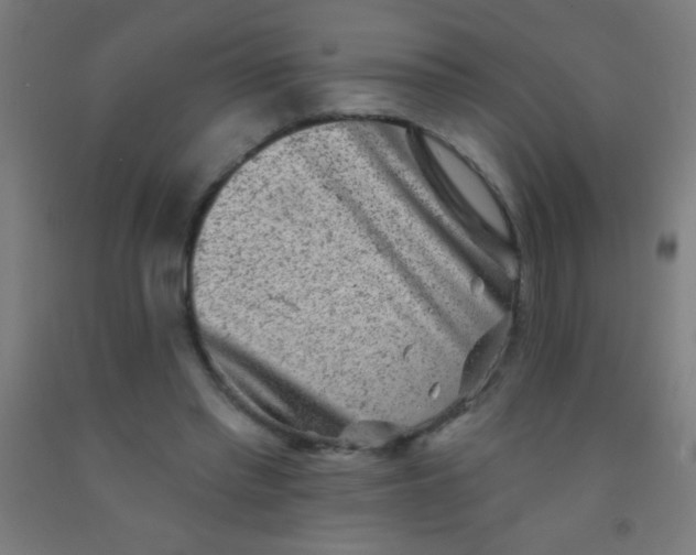 X0000092010397200709271533