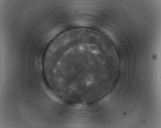 X0000092010398200709271533