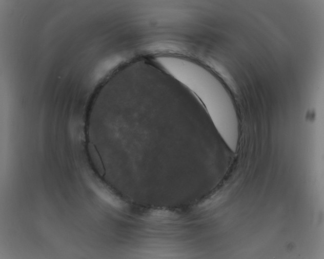 X0000092010399200709271533