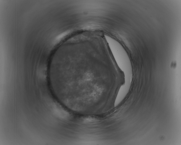 X0000092010400200709271533