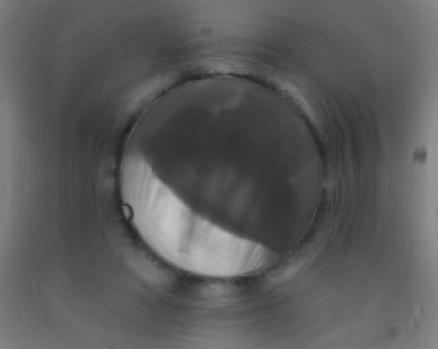 X0000092010402200709271533