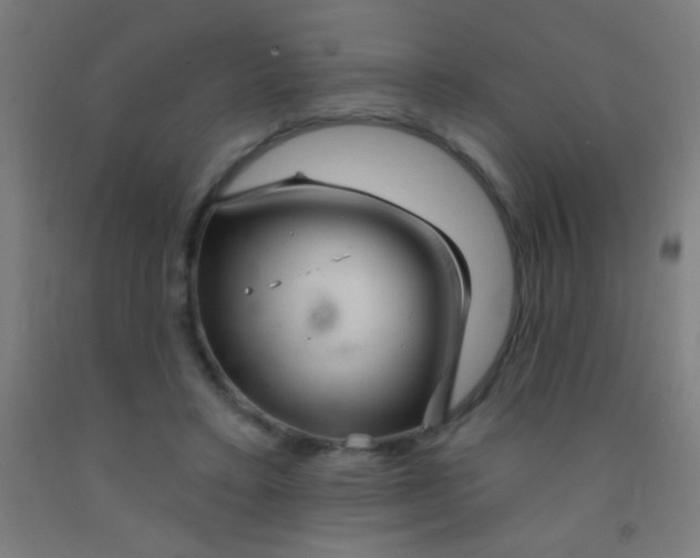 X0000092010403200709271533