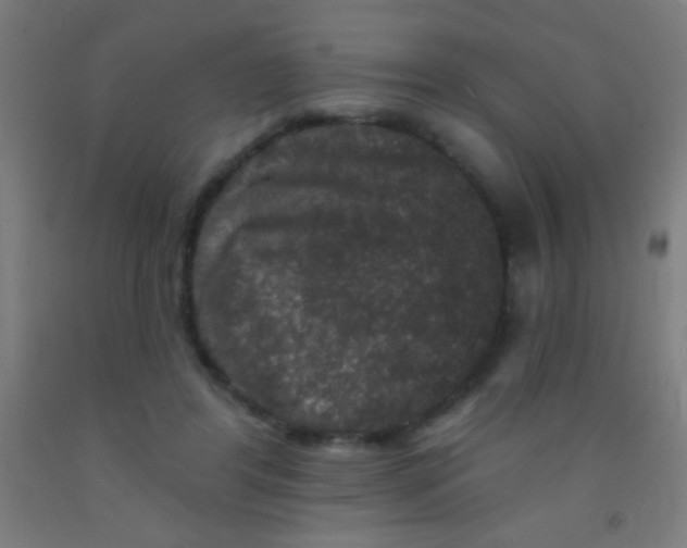 X0000092010404200709271533