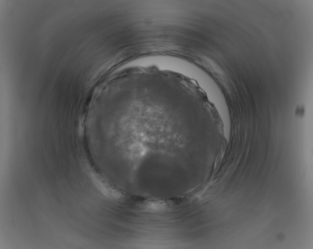 X0000092010405200709271533