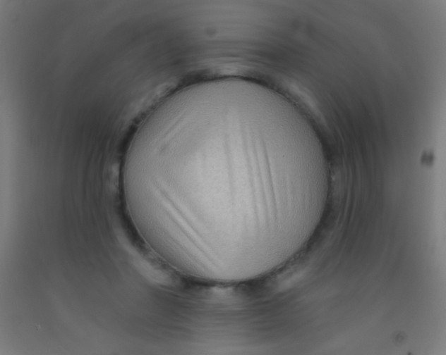 X0000092010406200709271533