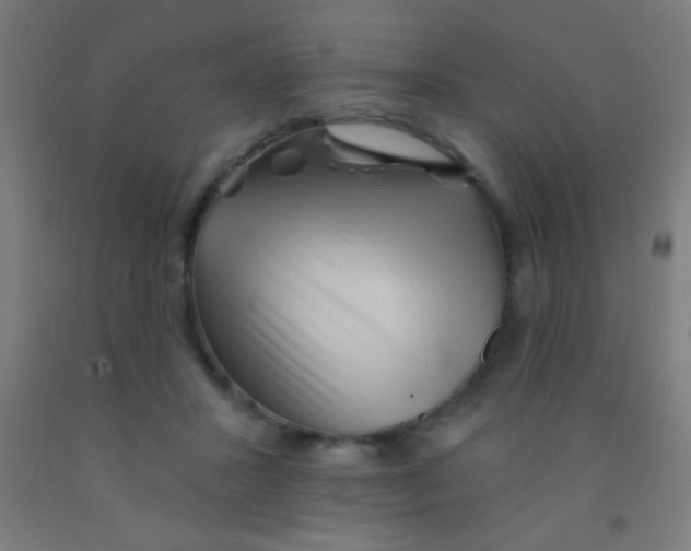 X0000092010407200709271533