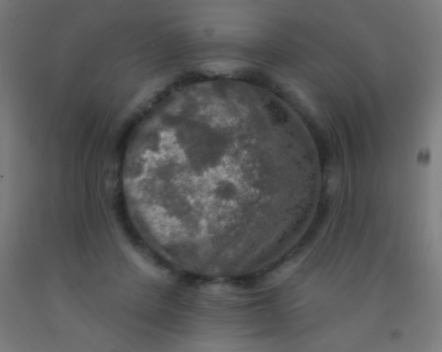 X0000092010408200709271533